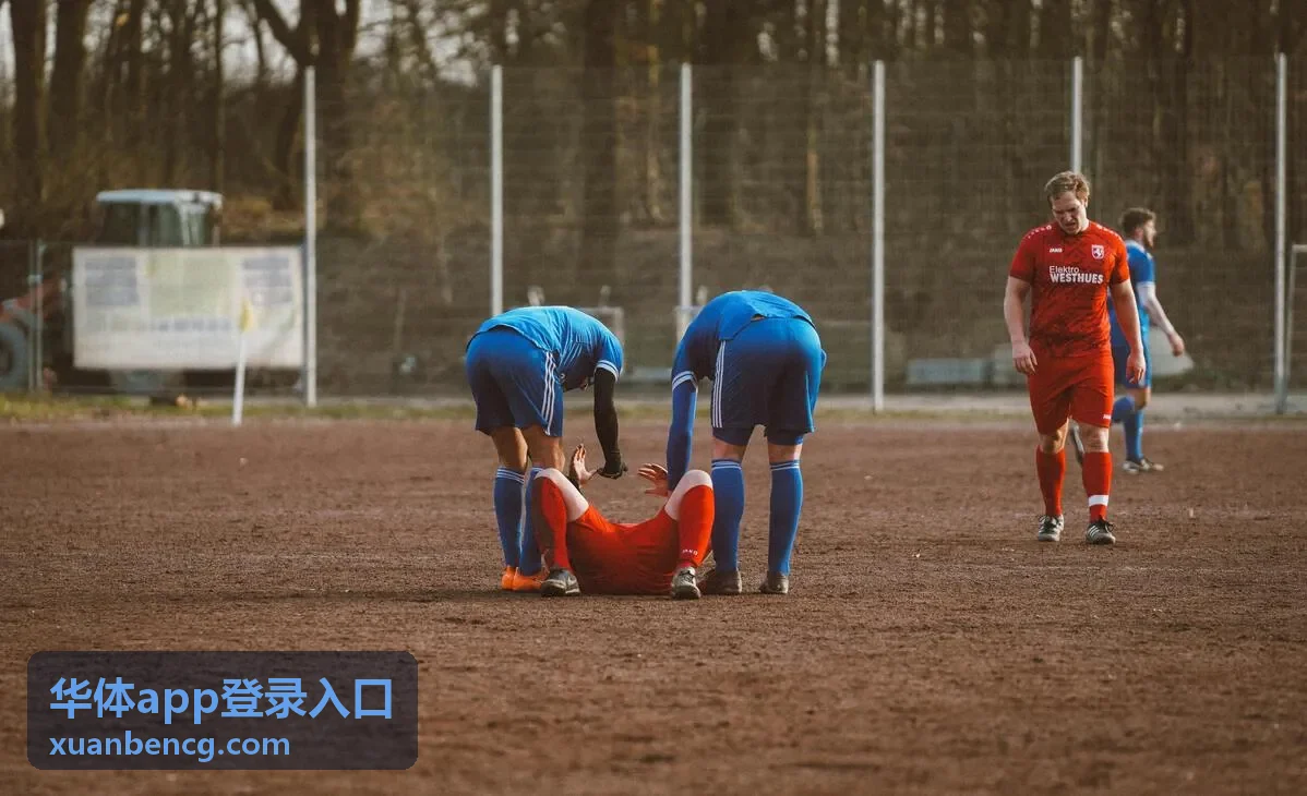 华体app登录入口赛事直播板块